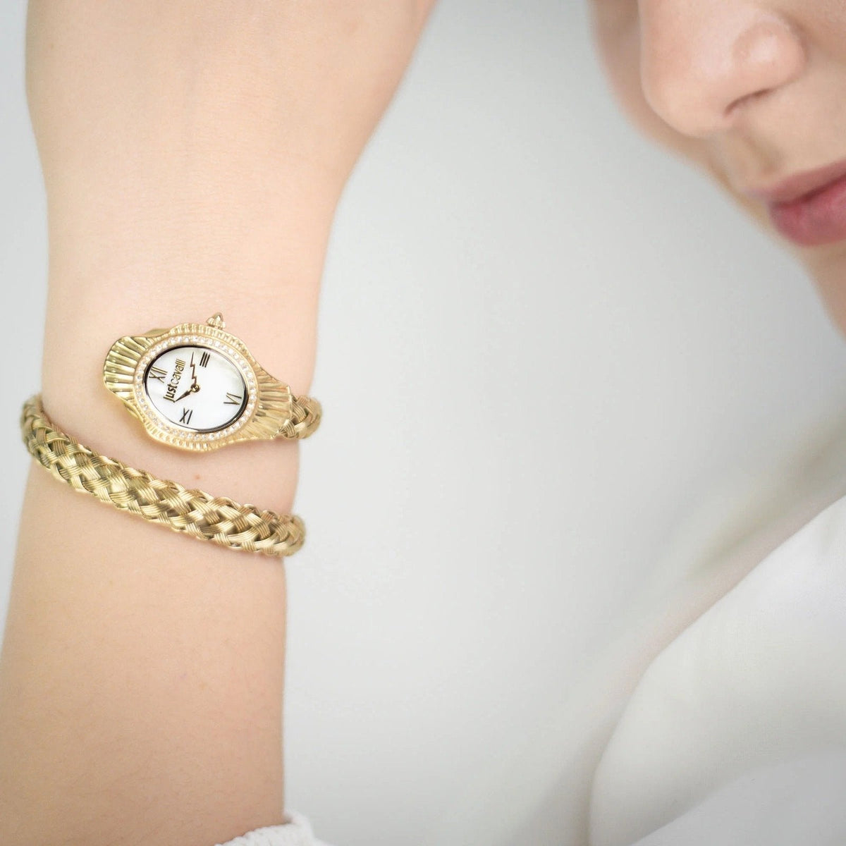 Just Cavalli Watch For Women JC1L305M0025