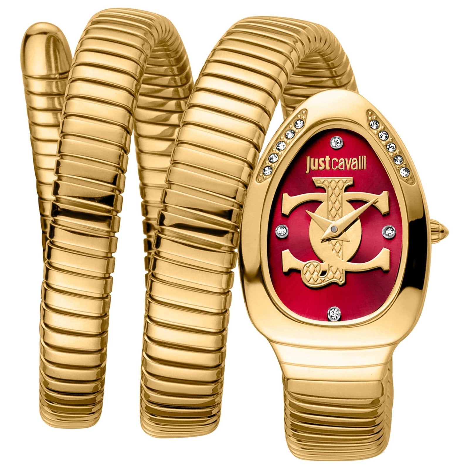 Just Cavalli Watch For Women JC1L228M0045