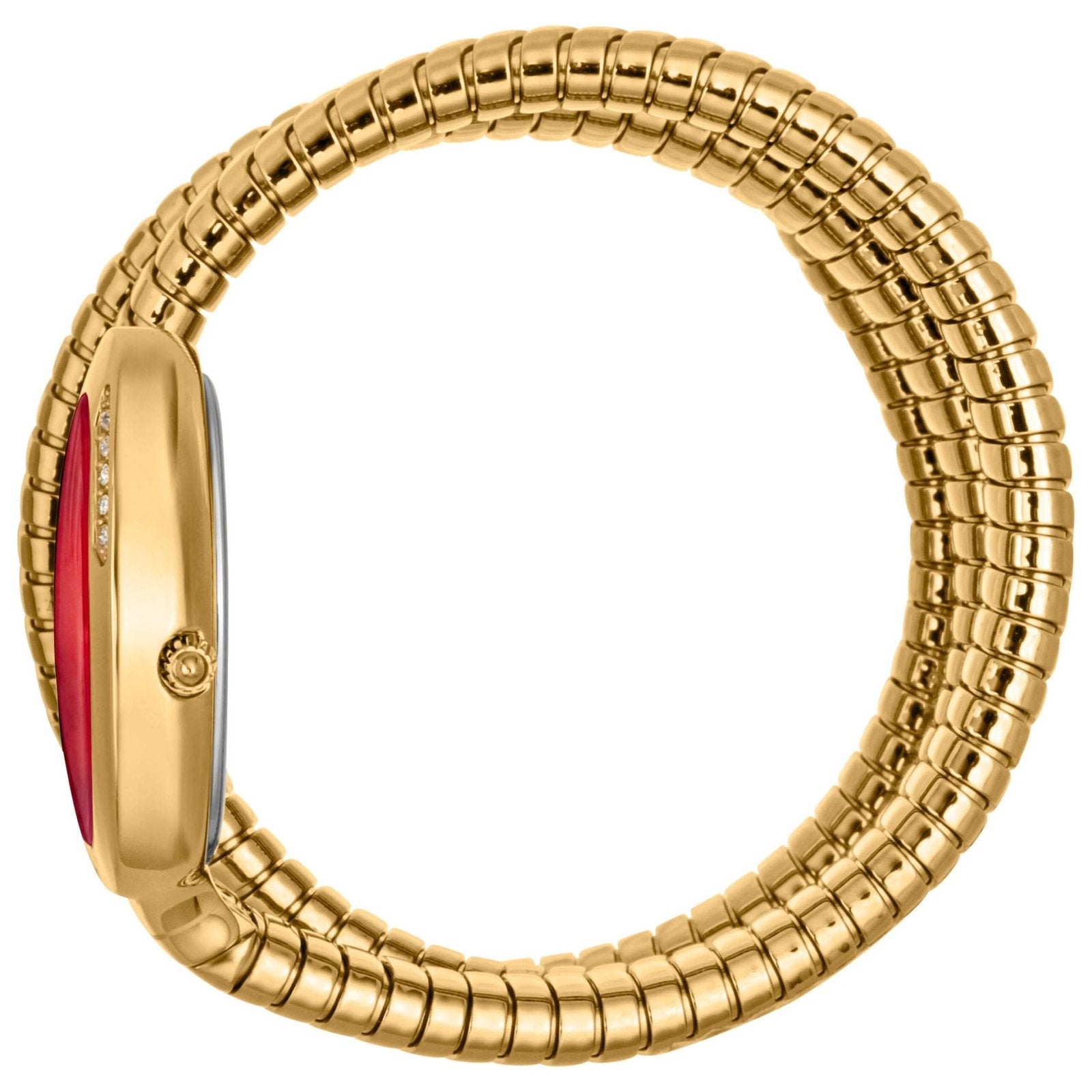 Just Cavalli Watch For Women JC1L228M0045