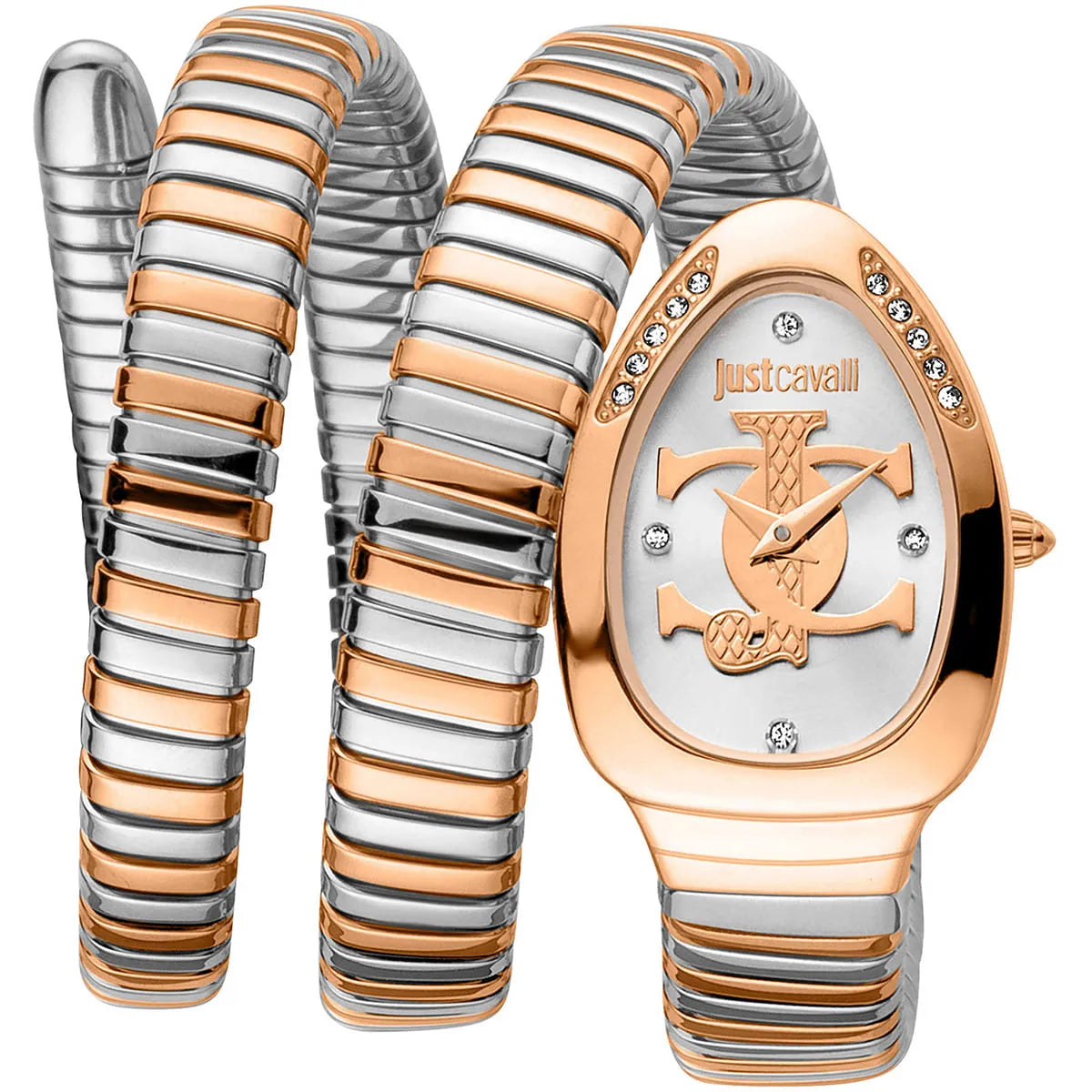 Just Cavalli Watch For Women JC1L228M0085