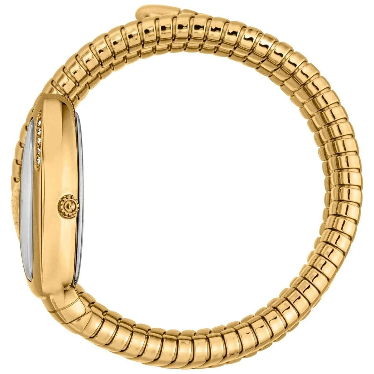 Just Cavalli Watch For Women JC1L230M0035