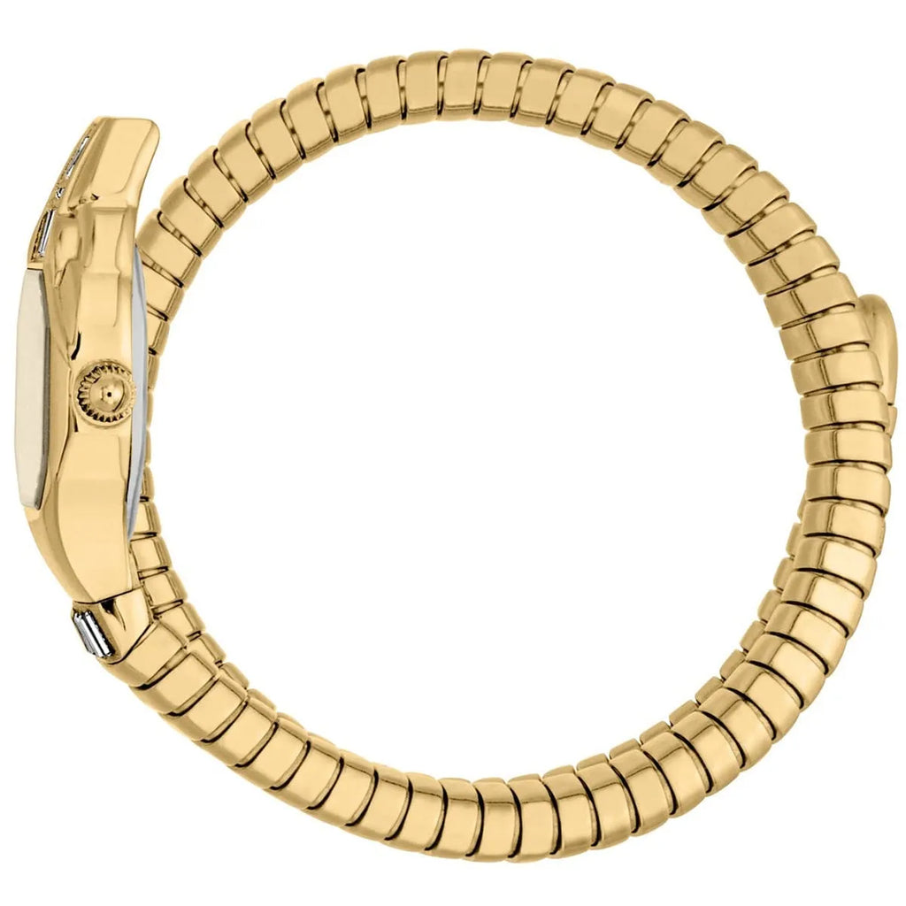 Just Cavalli Watch For Women JC1L326M0025