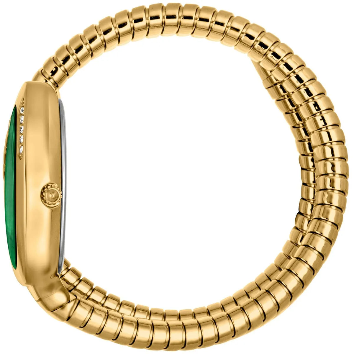 Just Cavalli Watch For Women JC1L229M0035