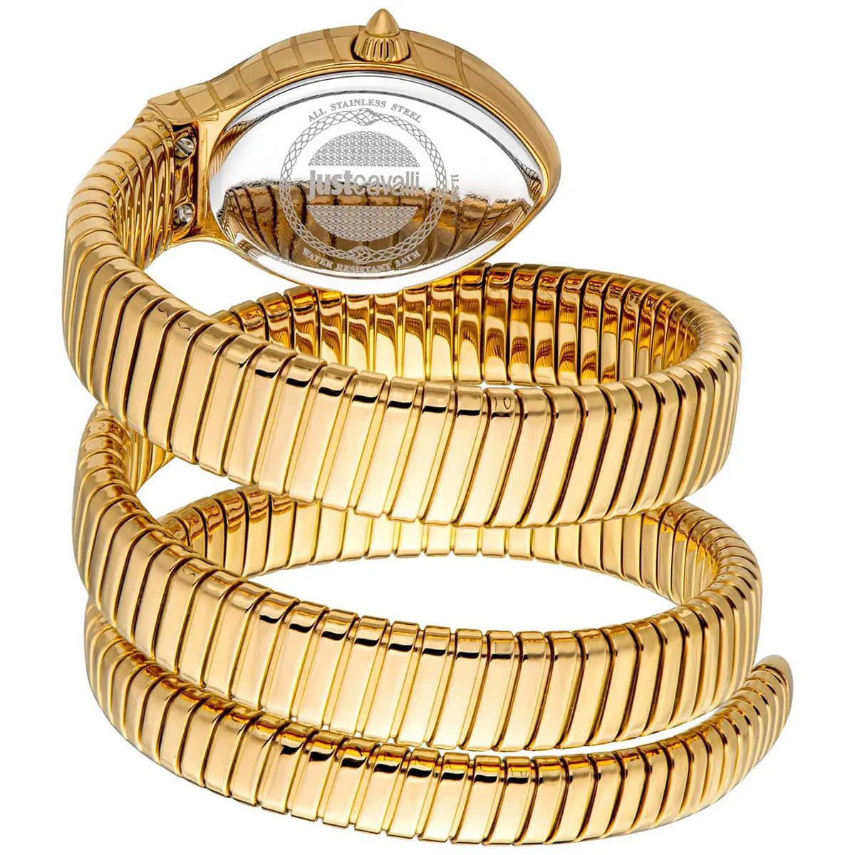 Just Cavalli Watch For Women JC1L248M0025