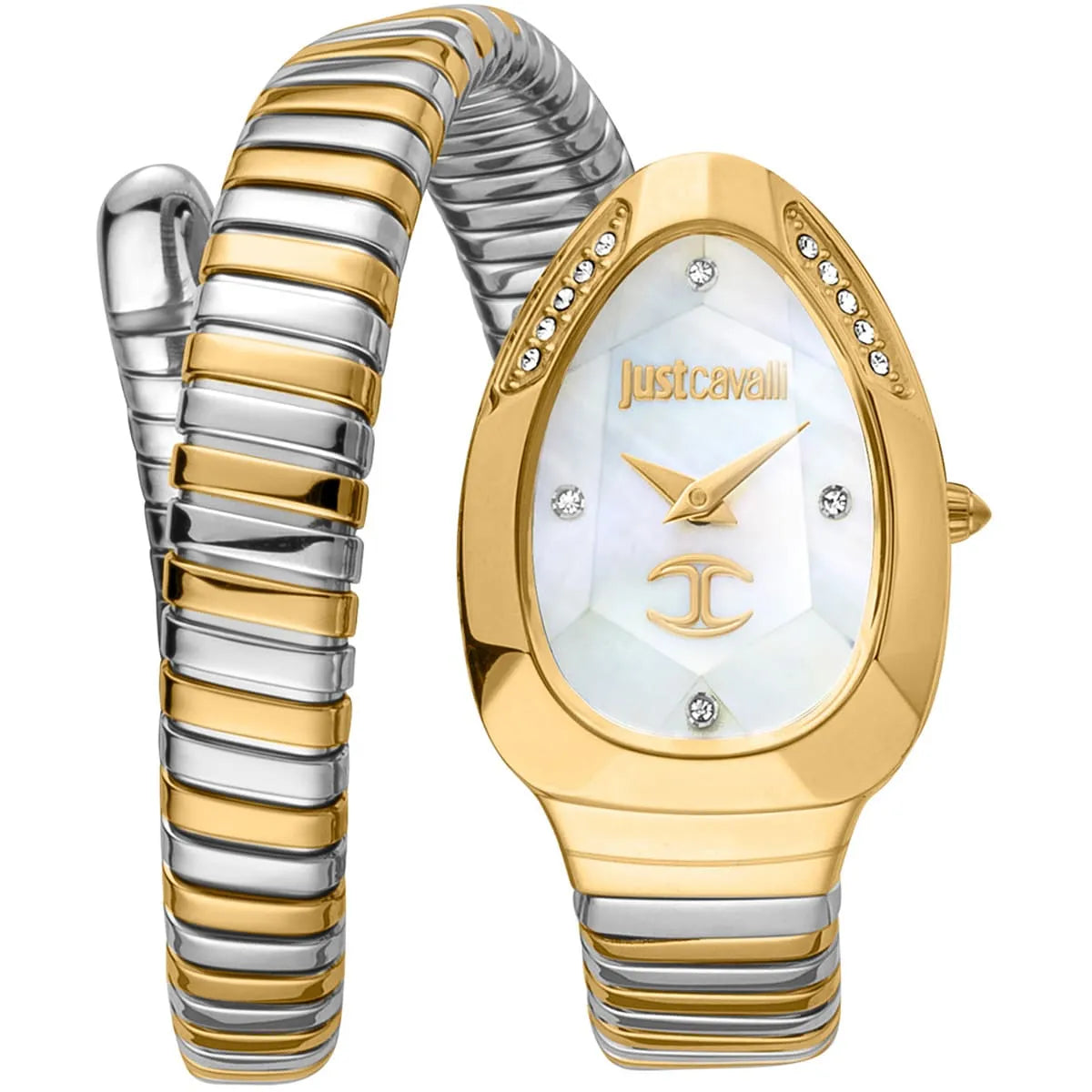 Just Cavalli Watch For Women JC1L229M0065