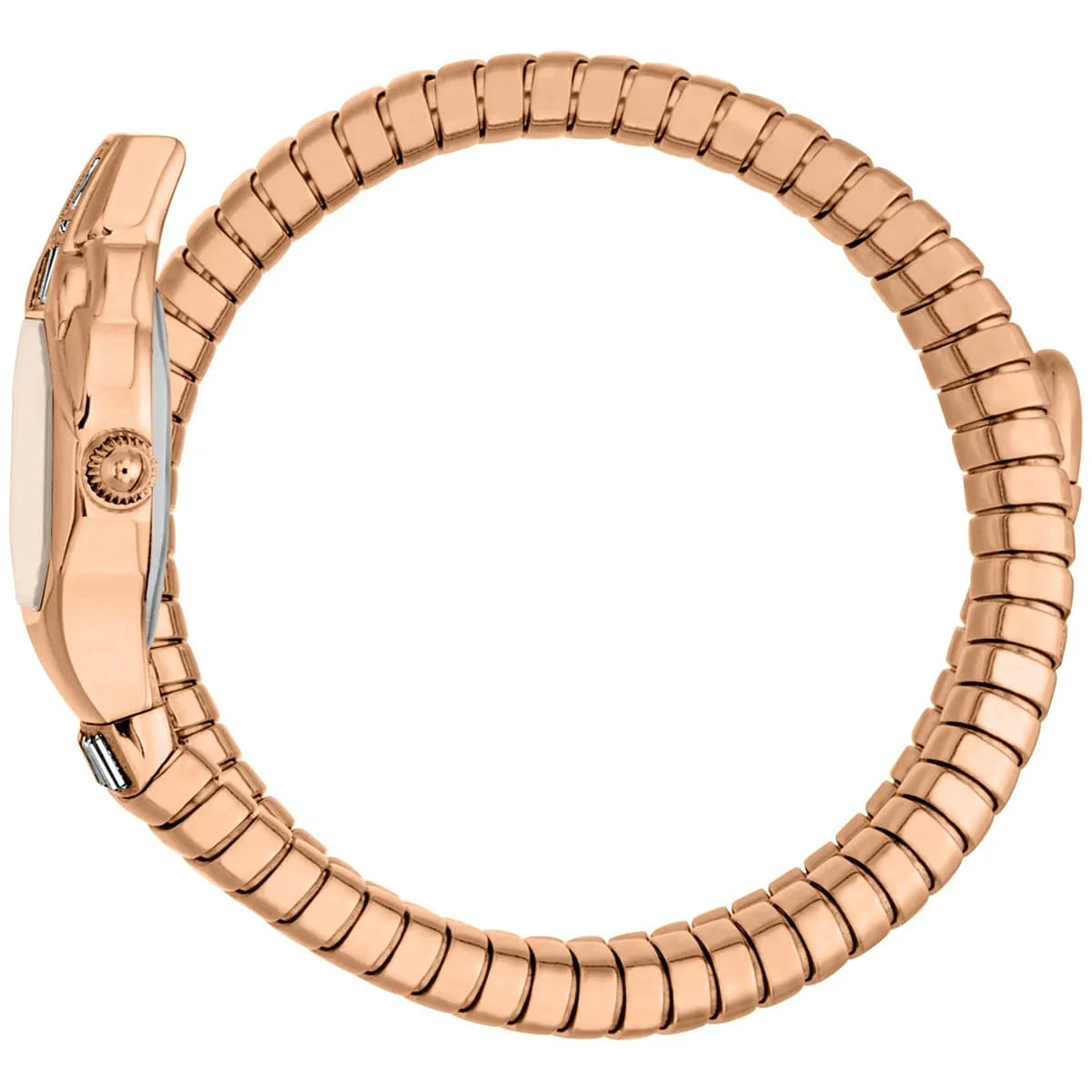 Just Cavalli Watch For Women JC1L326M0045