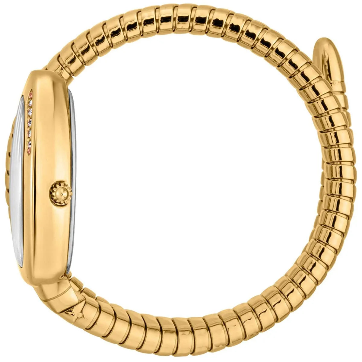 Just Cavalli Watch For Women JC1L227M0035