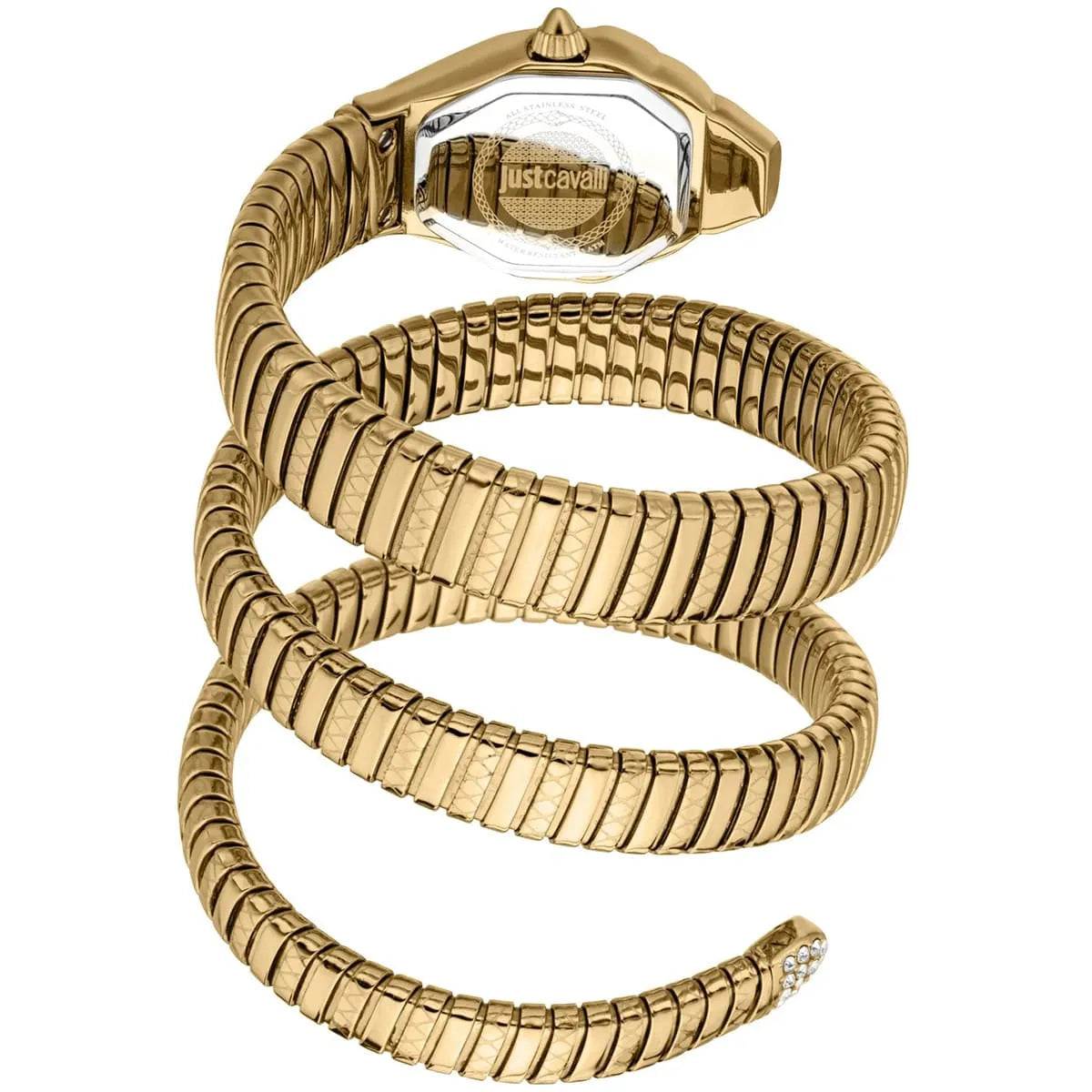 Just Cavalli Watch For Women JC1L370M0035
