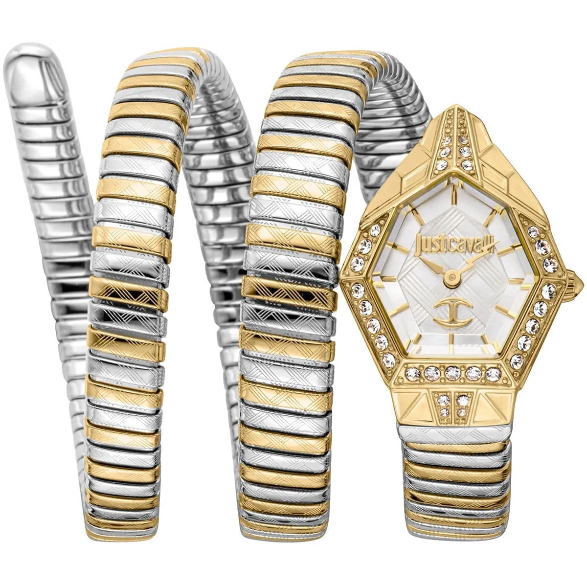Just Cavalli Watch For Women JC1L304M0055
