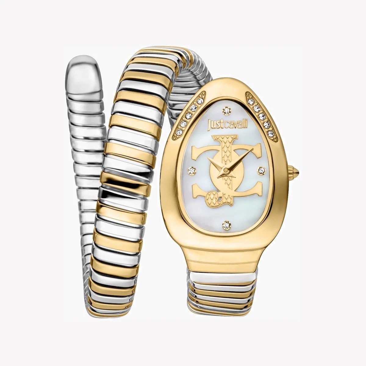 Just Cavalli Watch For Women JC1L227M0065