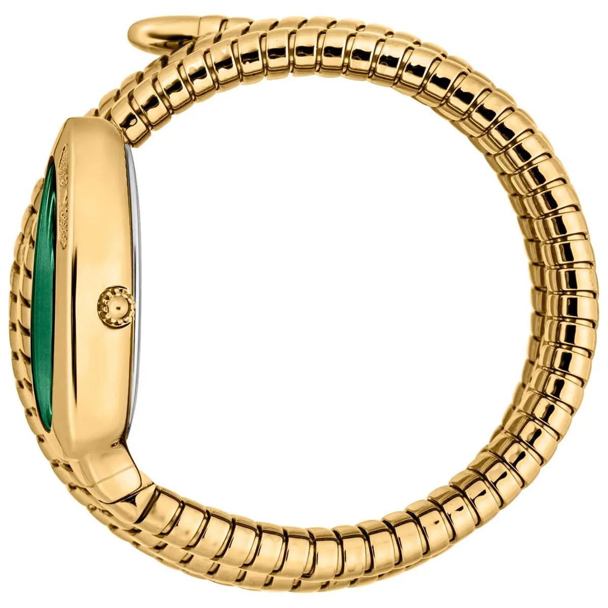 Just Cavalli Watch For Women JC1L232M0035